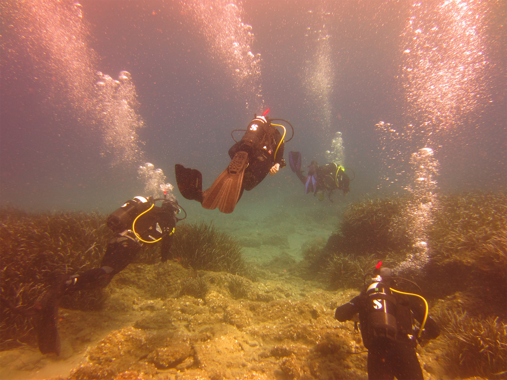 Pavlos x2 Diving