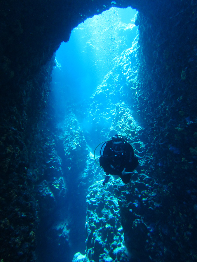 Pavlos x2 Diving